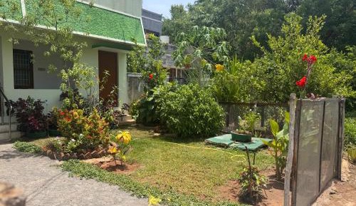 Deluxe Double Room (2 Adults + 1 Child)