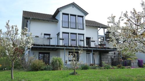 Superior One-Bedroom Apartment