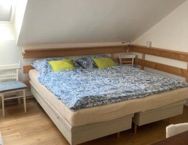 Apartment with Garden View