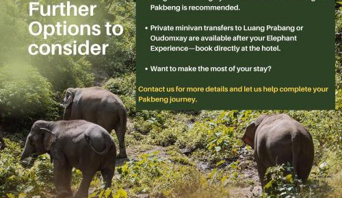 Double or Twin Room with Mekong Elephant Experience Tour