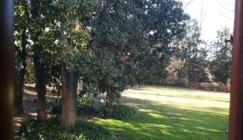 Quadruple Room with Garden View