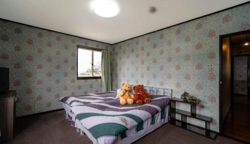 Double or Twin Room with Mountain View