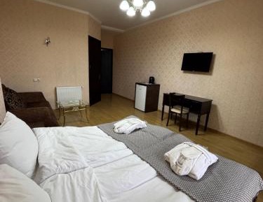 Deluxe Double or Twin Room with Balcony