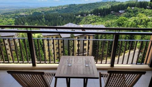 Two-Bedroom Apartment with View