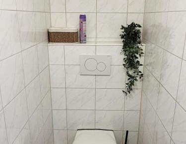 Standard Studio