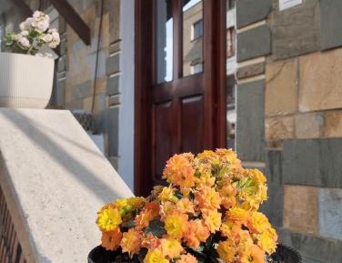 Double or Twin Room with Garden View