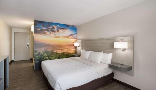 Queen Room - Disability Access