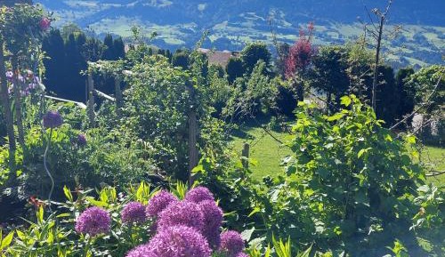 Two-Bedroom Apartment with Mountain View