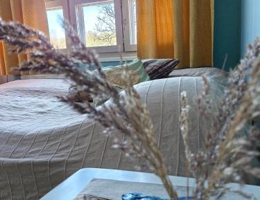 Double or Twin Room with Shared Bathroom