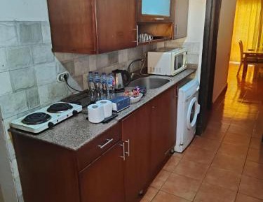 Two-Bedroom Apartment with Sea View