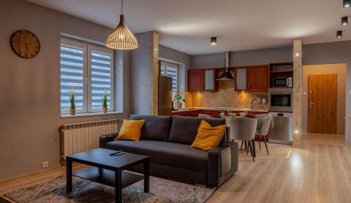 Deluxe One-Bedroom Apartment