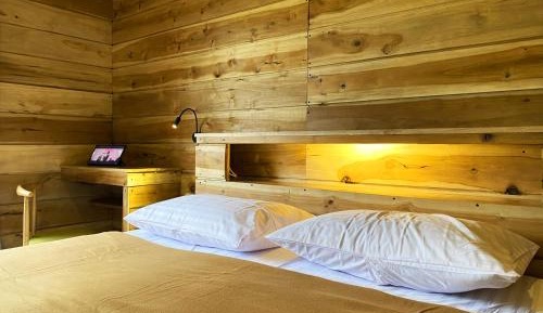 Deluxe Double or Twin Room with River View