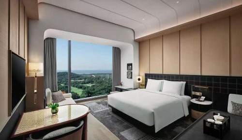 Standard King Room with Ocean View