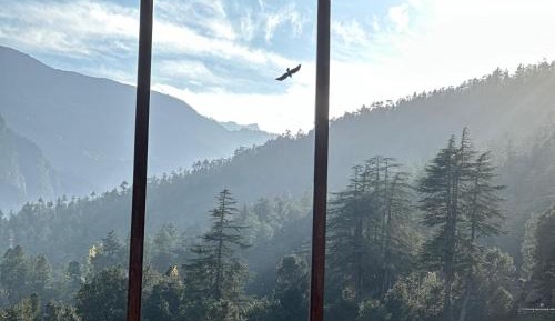 Deluxe Double or Twin Room with Mountain View