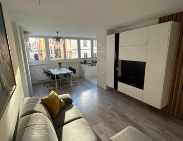 One-Bedroom Apartment with City View