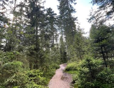 One-Bedroom Apartment No 6