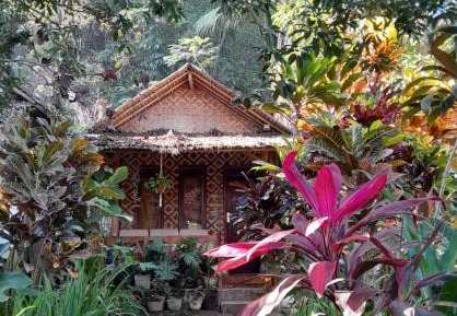 Standard Double Room with Fan