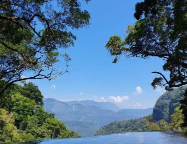 4-Bed Mixed Dormitory Room
