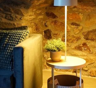 One-Bedroom Apartment with Garden View