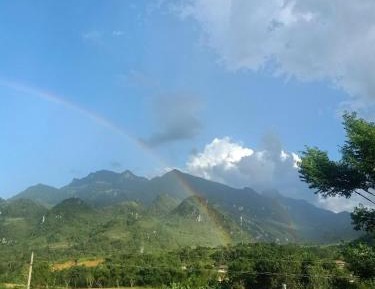 Mixed Dormitory Room