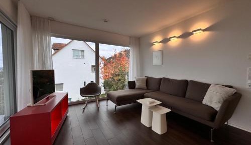 Apartment with Lake View