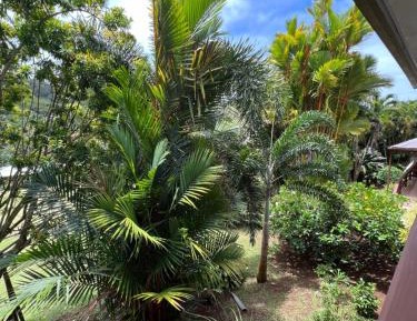 Bungalow with Garden View
