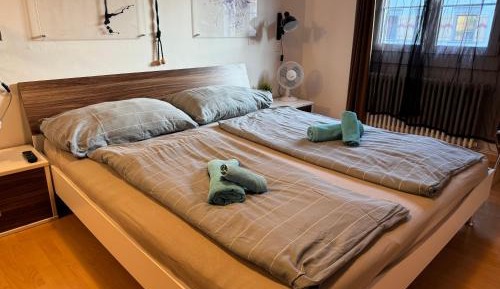 Double Room with Shared Bathroom