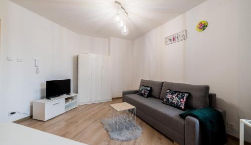 Studio with Sofa Bed