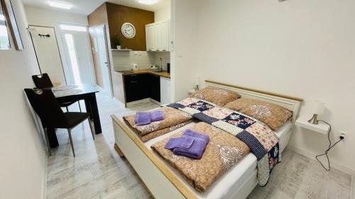 Studio with Garden View