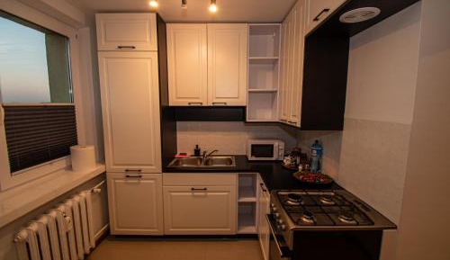 Two-Bedroom Standard Apartment