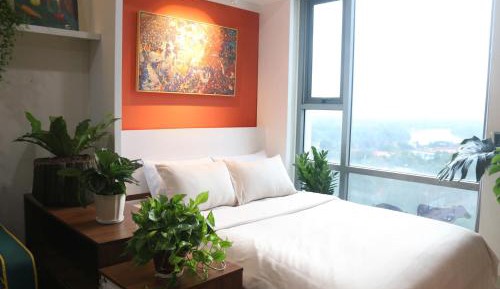 King Studio with Sofa Bed