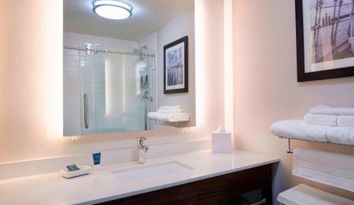 Wellness Suite, 1 Bedroom Suite, 1 King, City view