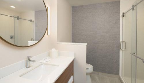 Suite, 1 King, Sofa bed