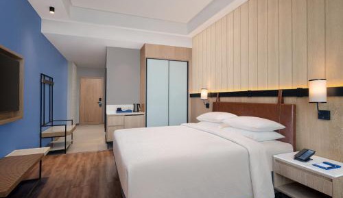 Premium, Guest Room, 1 King, City View, Balcony