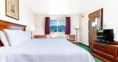 King Room - Pet Friendly