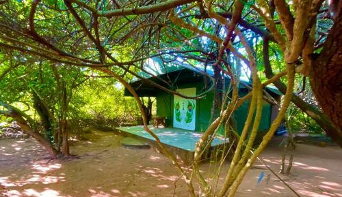 Tent