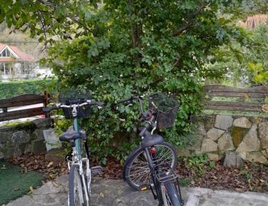 Double or Twin Room with Private Bathroom