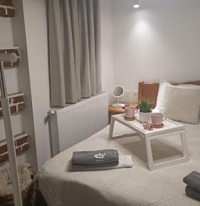 Deluxe One-Bedroom Apartment with City View