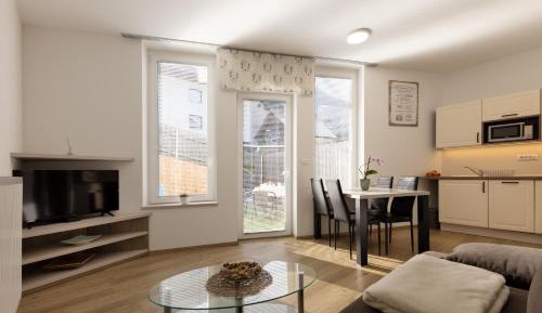 One-Bedroom Apartment with Terrace