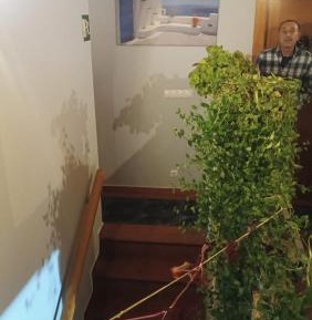 Twin Room with Extra Bed