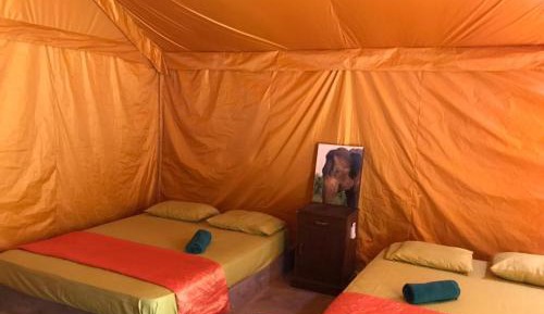 Deluxe Family Suite