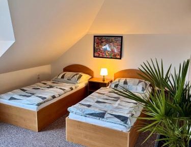 Apartment with Garden View