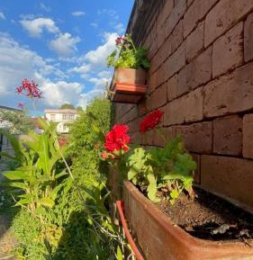 Twin Room with Private Bathroom