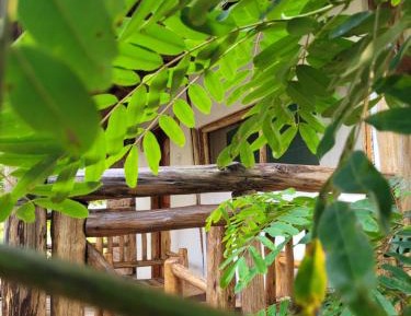 Comfort Triple Room with Shower