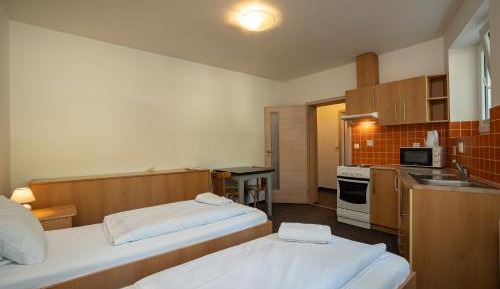 Double or Twin Room with Private Bathroom