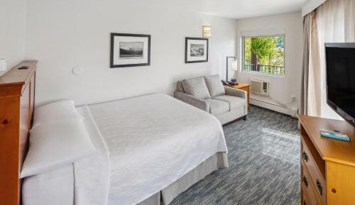 Queen Room - Bay View