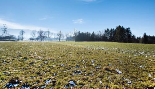 Two-Bedroom Superior Apartment