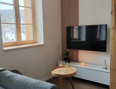 One-bedroom Loft Apartment 
