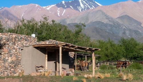 Double or Twin Room with Mountain View