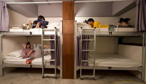 Bunk Bed in Mixed Dormitory Room